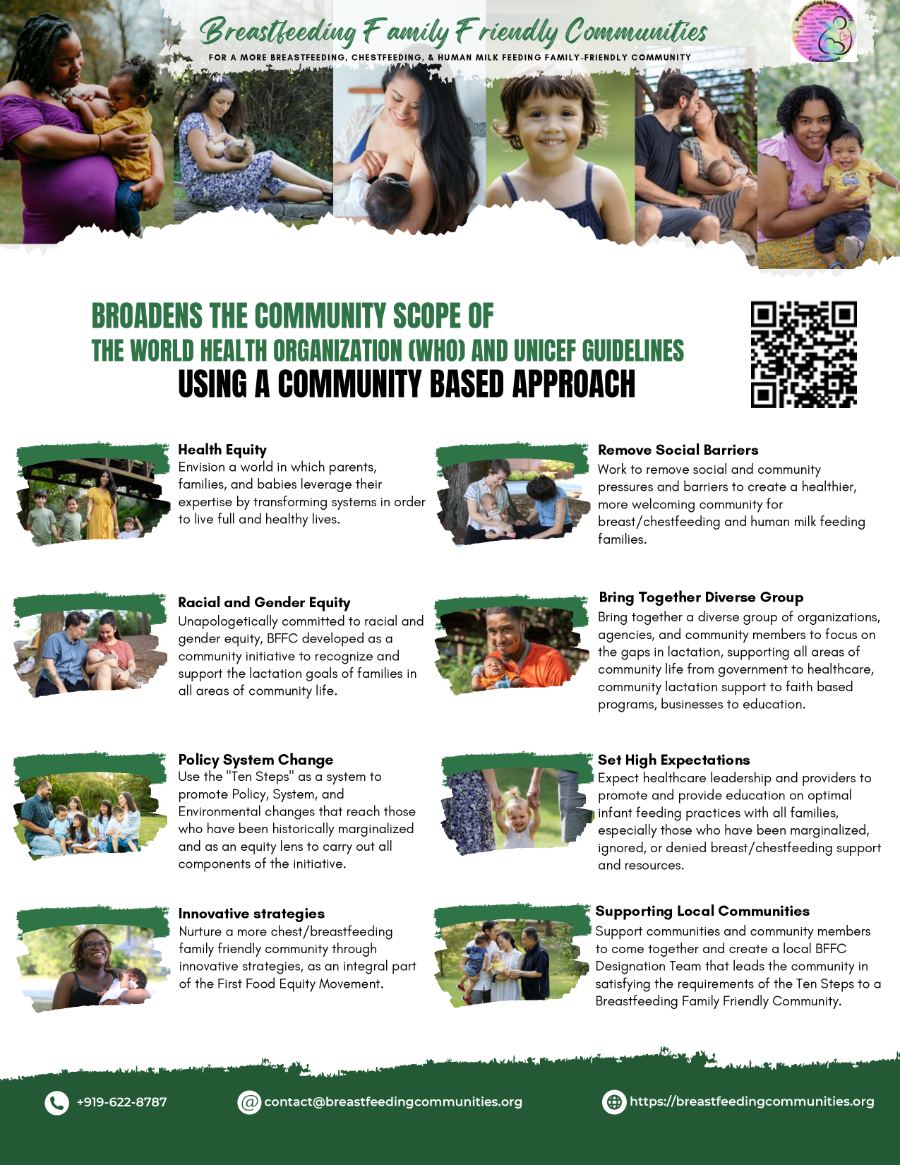 First page of the 10 Steps to a Breastfeeding Friendly Community overview