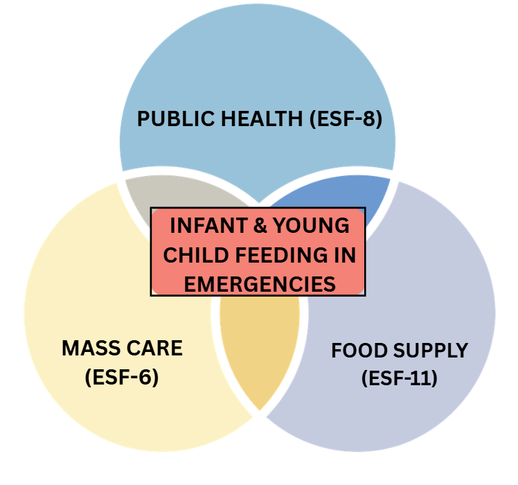 Venn diagram of the different emergency services functions to classify infant and young child feeding in emergencies